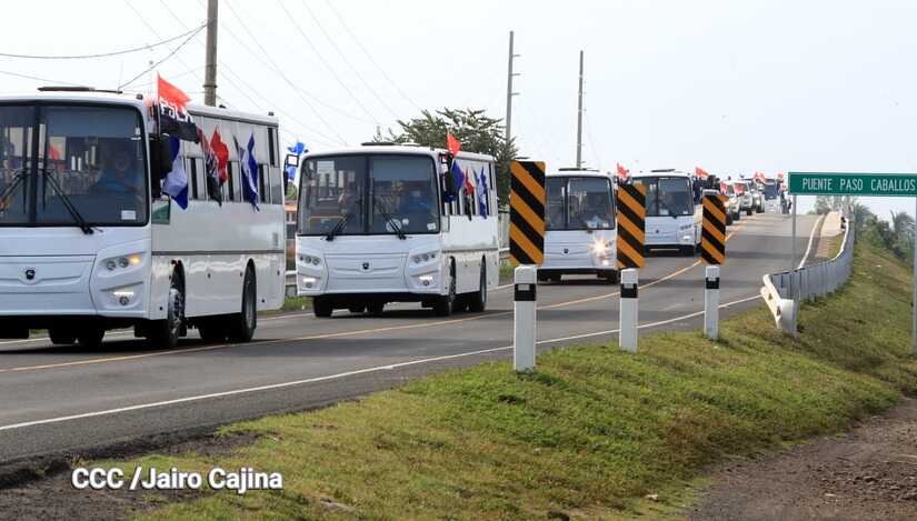 BUSES